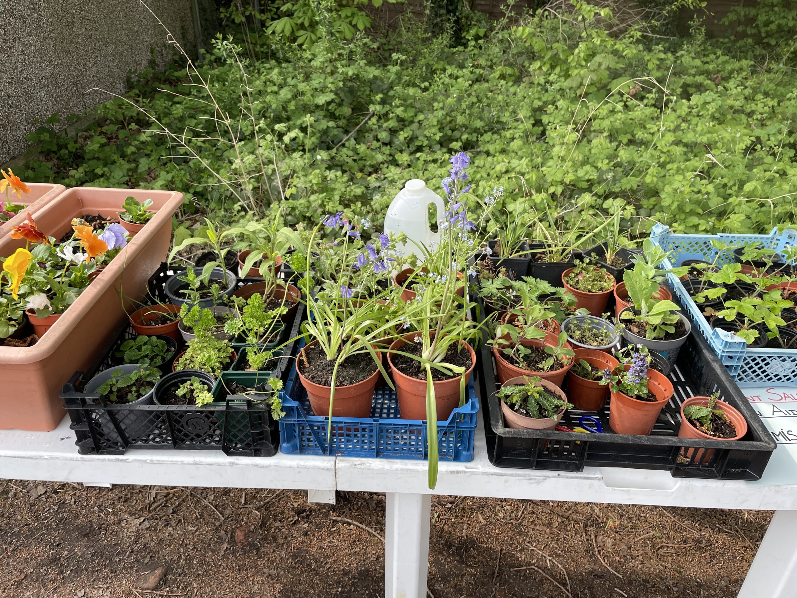 Church Crookham and Fleet Garden Society Shed Sale Saturdays